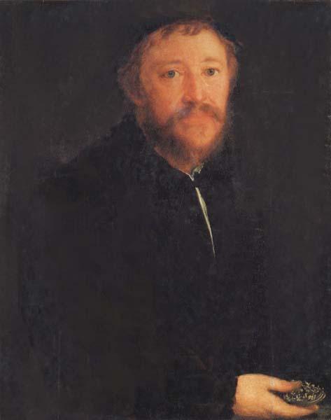 AMBERGER, Christoph Portrait of Cornelius Gros Germany oil painting art